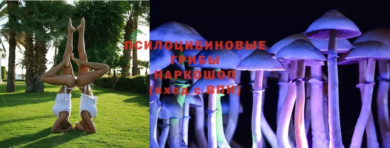 Псилоцибиновые грибы Magic Shrooms  магазин  наркотиков  Петушки 